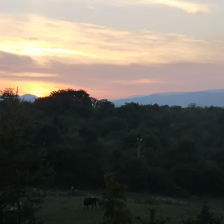 Nymphsfield House Cong